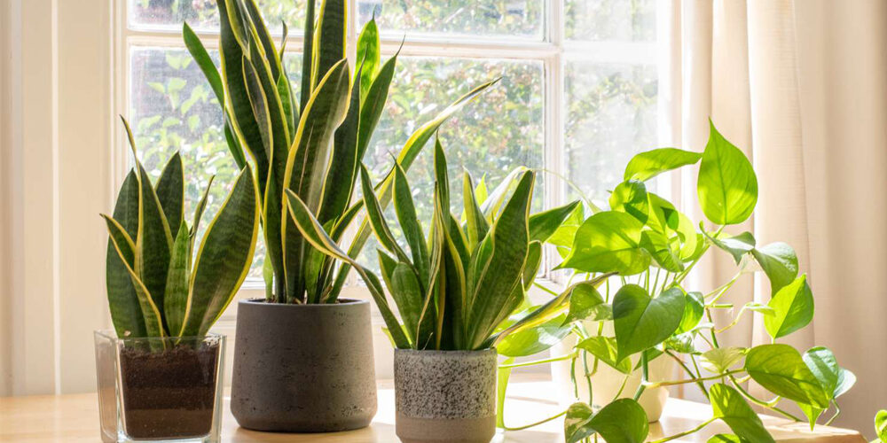 janitor_feature_transform_your_space